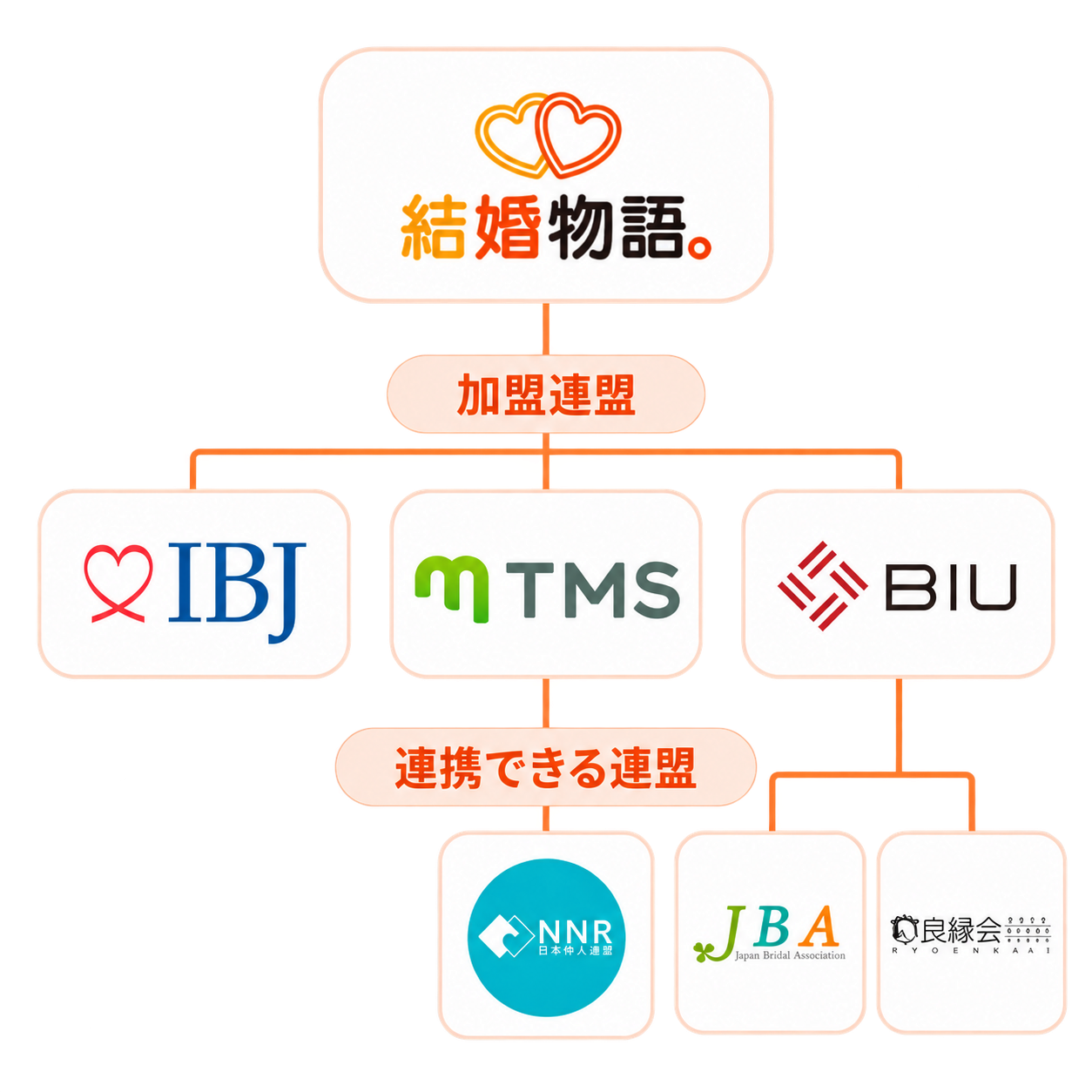 加盟連盟はIBJ・TMS・BIU。BIUを通じてJBA・良縁会、TMSを通じてNNRの会員も検索できます。